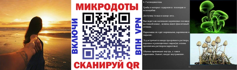 цены   Волгореченск  Псилоцибиновые грибы Magic Shrooms 